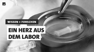 Thumbnail UKE Herzkammer