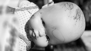 Thumbnail WILDFRIEDEN Fundraisingfilm